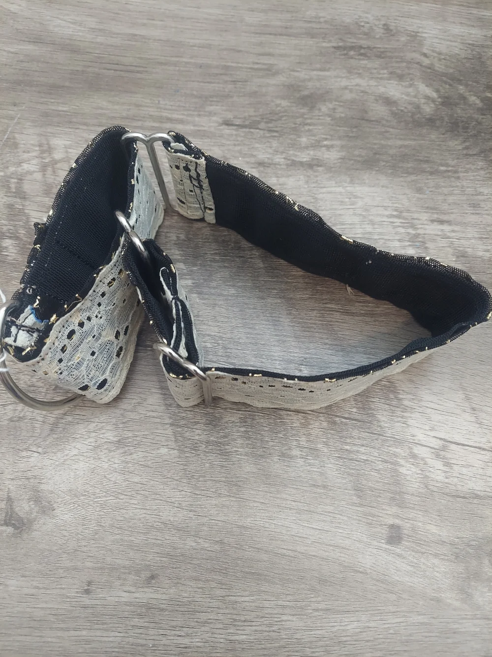 Custom Martingale Dog Collar 2